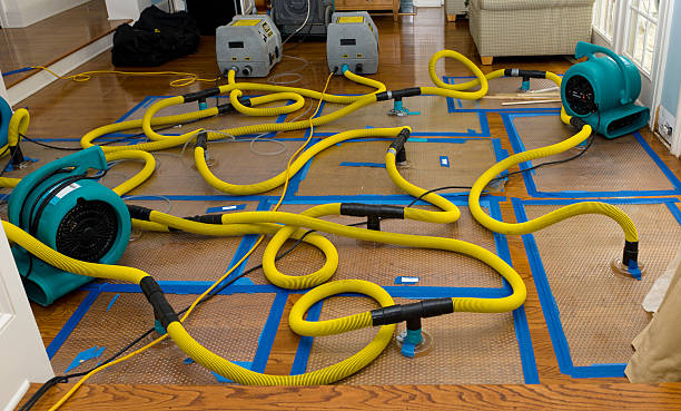 Professional Water Extraction technician working in Holmes, PA